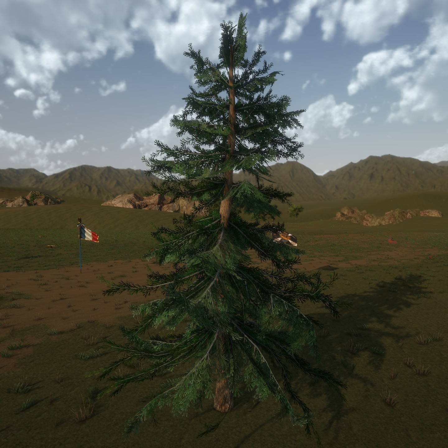 AlaskaCedar_Desktop2