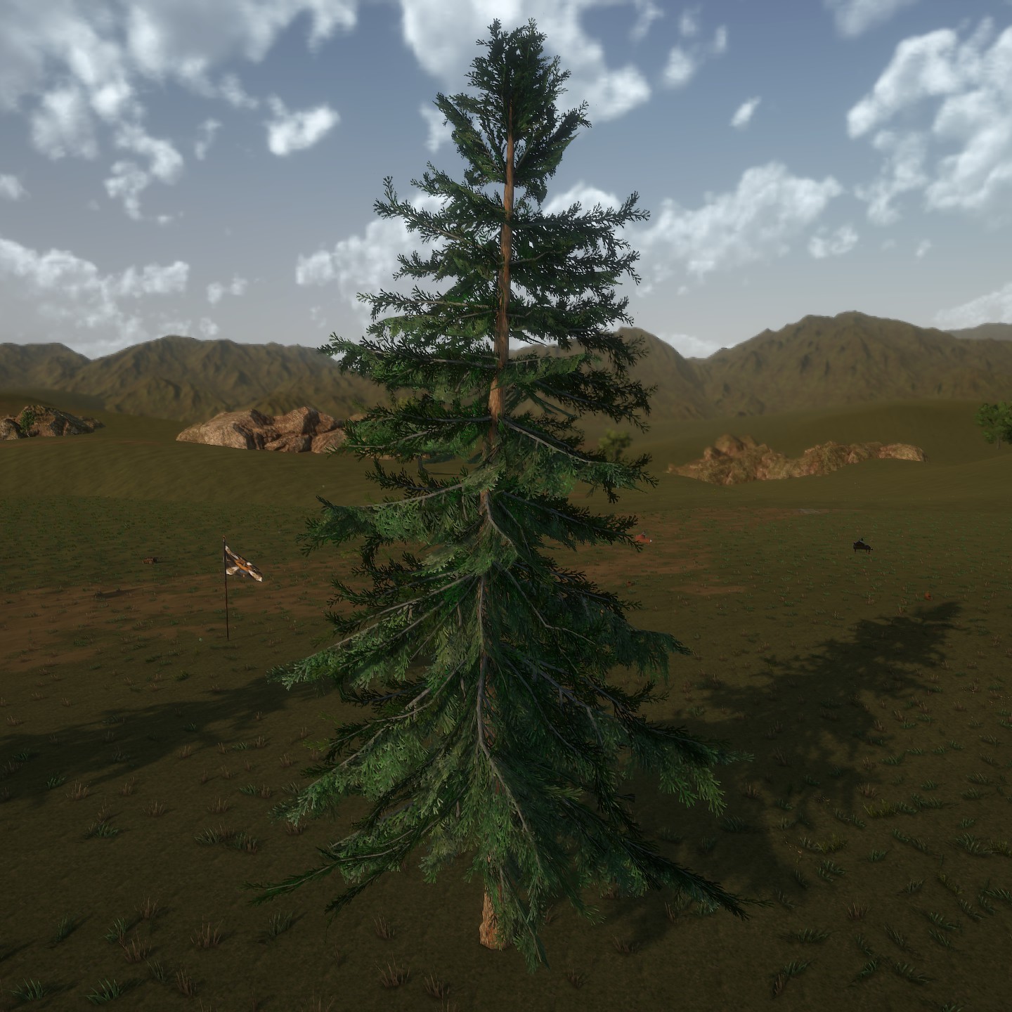 AlaskaCedar_Desktop3