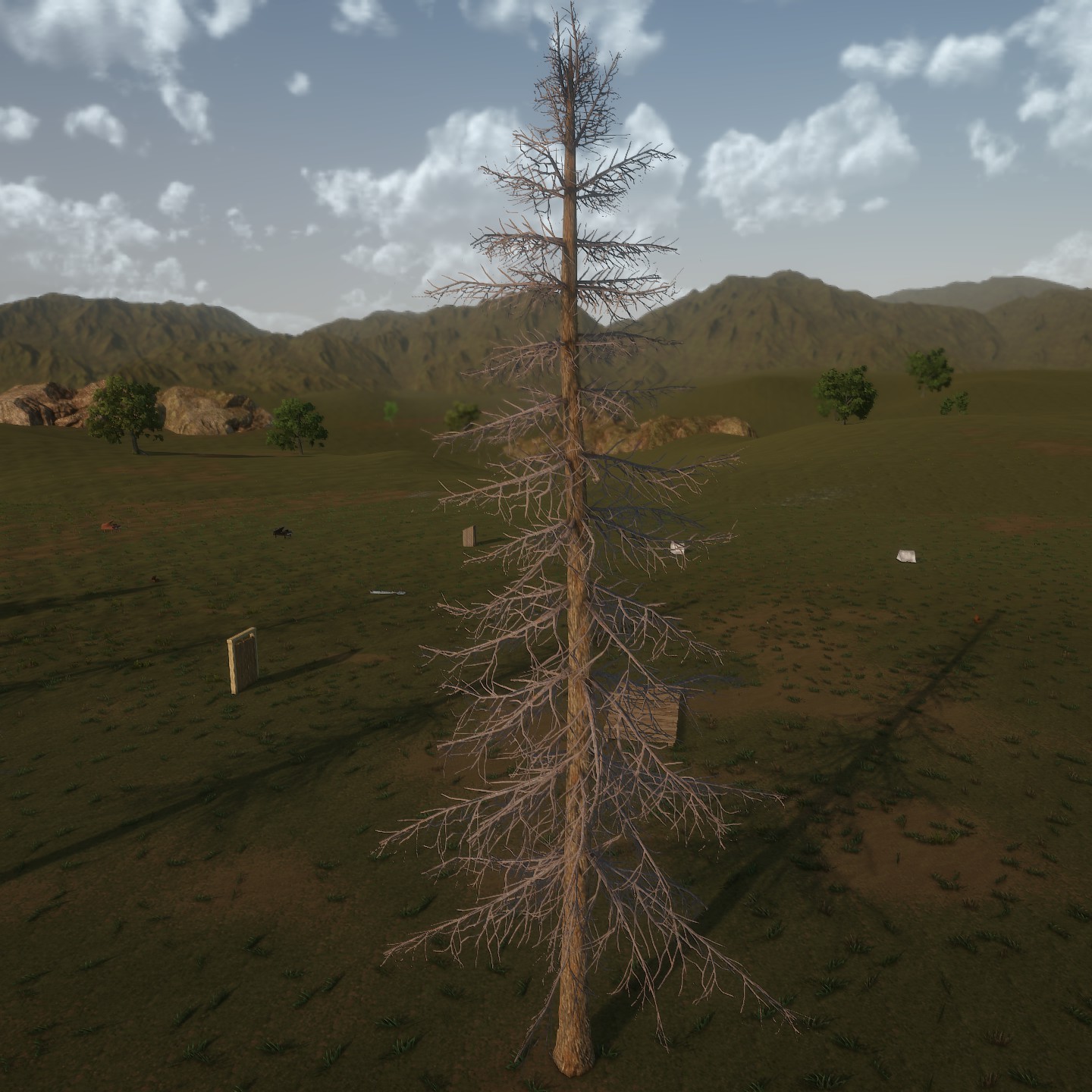 AlaskaCedar_Desktop_Bare