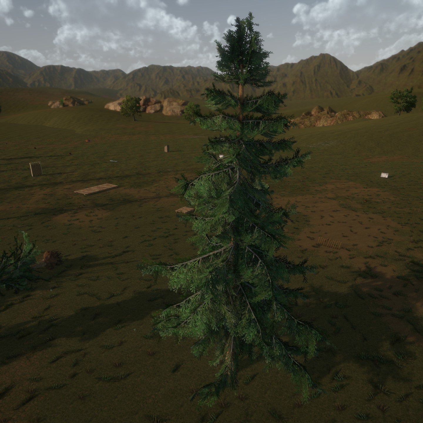 AlaskaCedar_Desktop