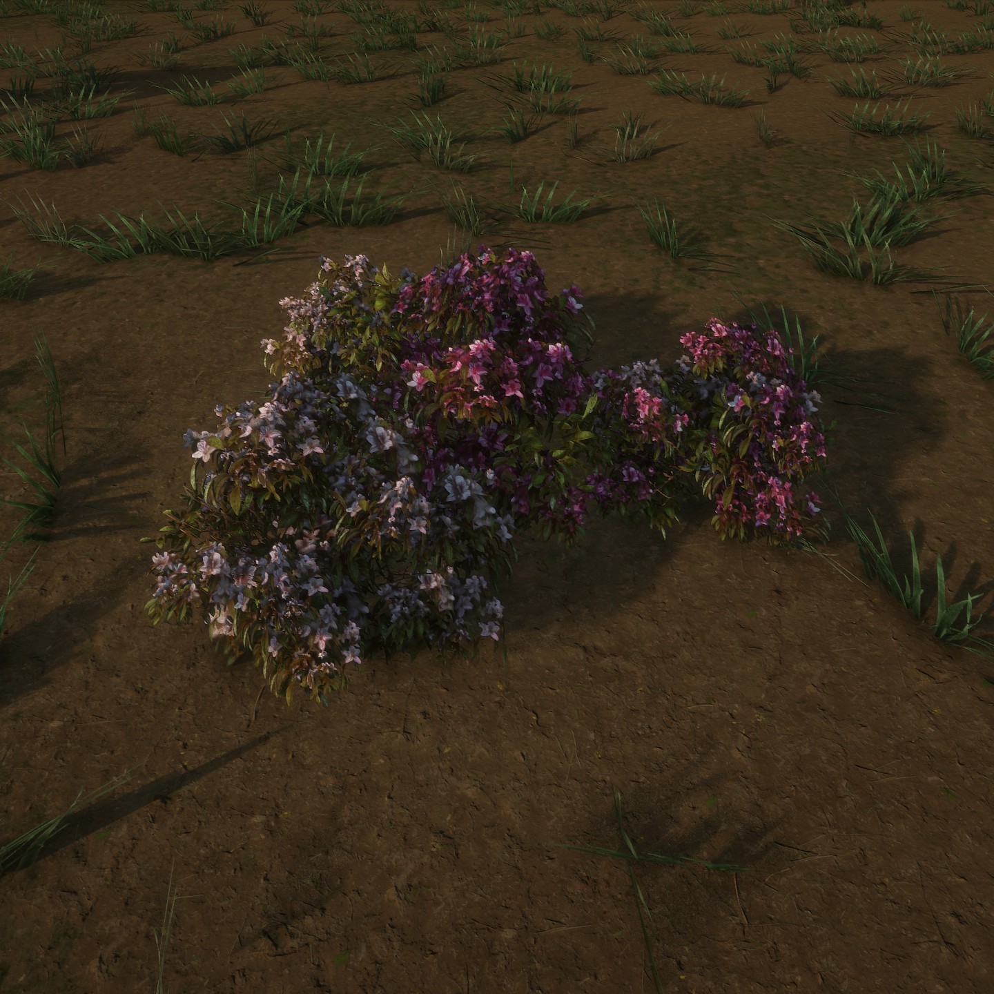 AzaleaPatch_Flowers_Low