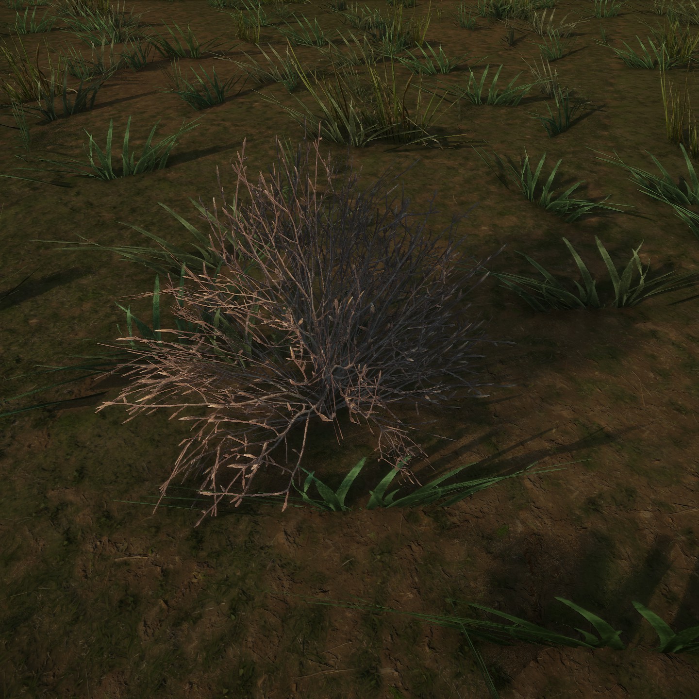 Azalea_Dead1