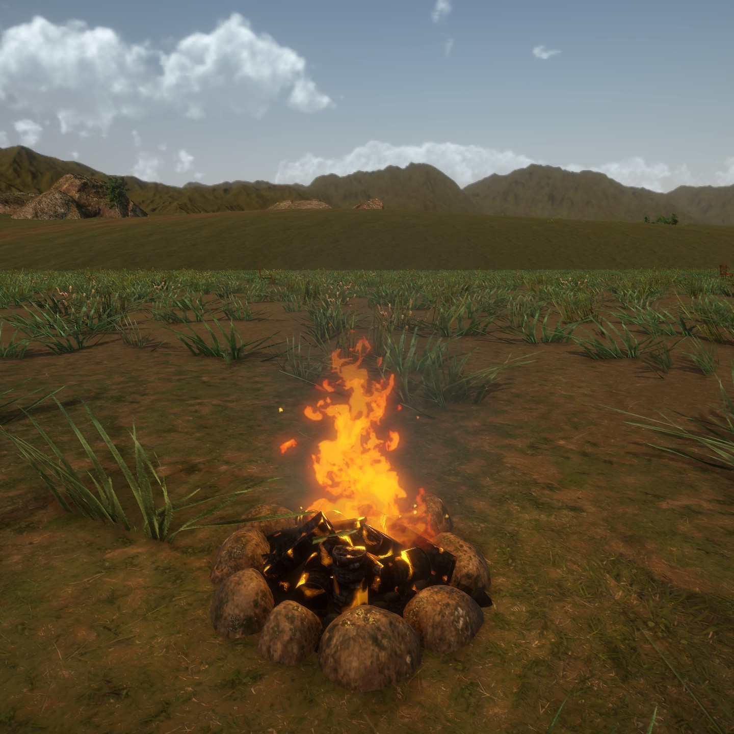 Campfire