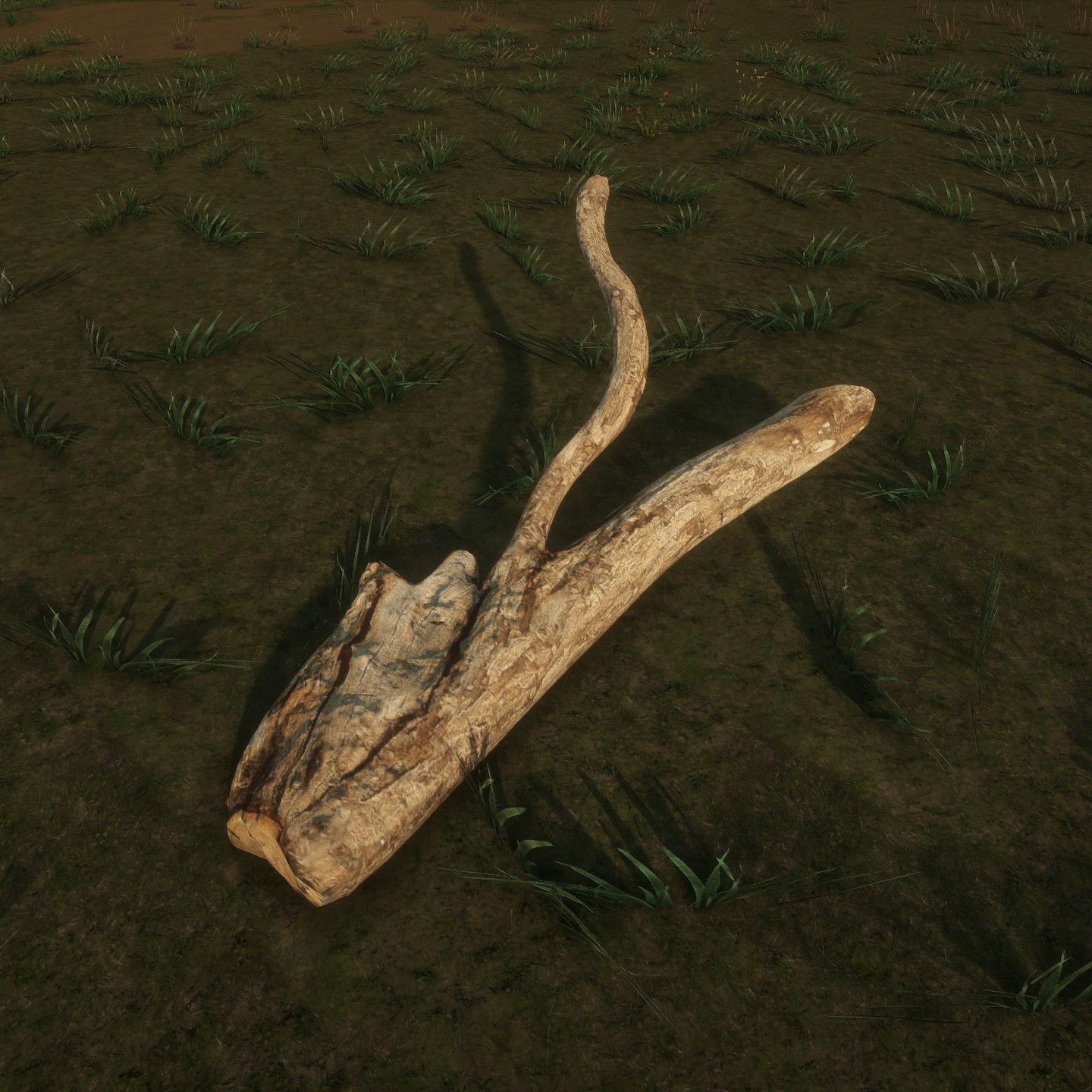 DeadTrunk4