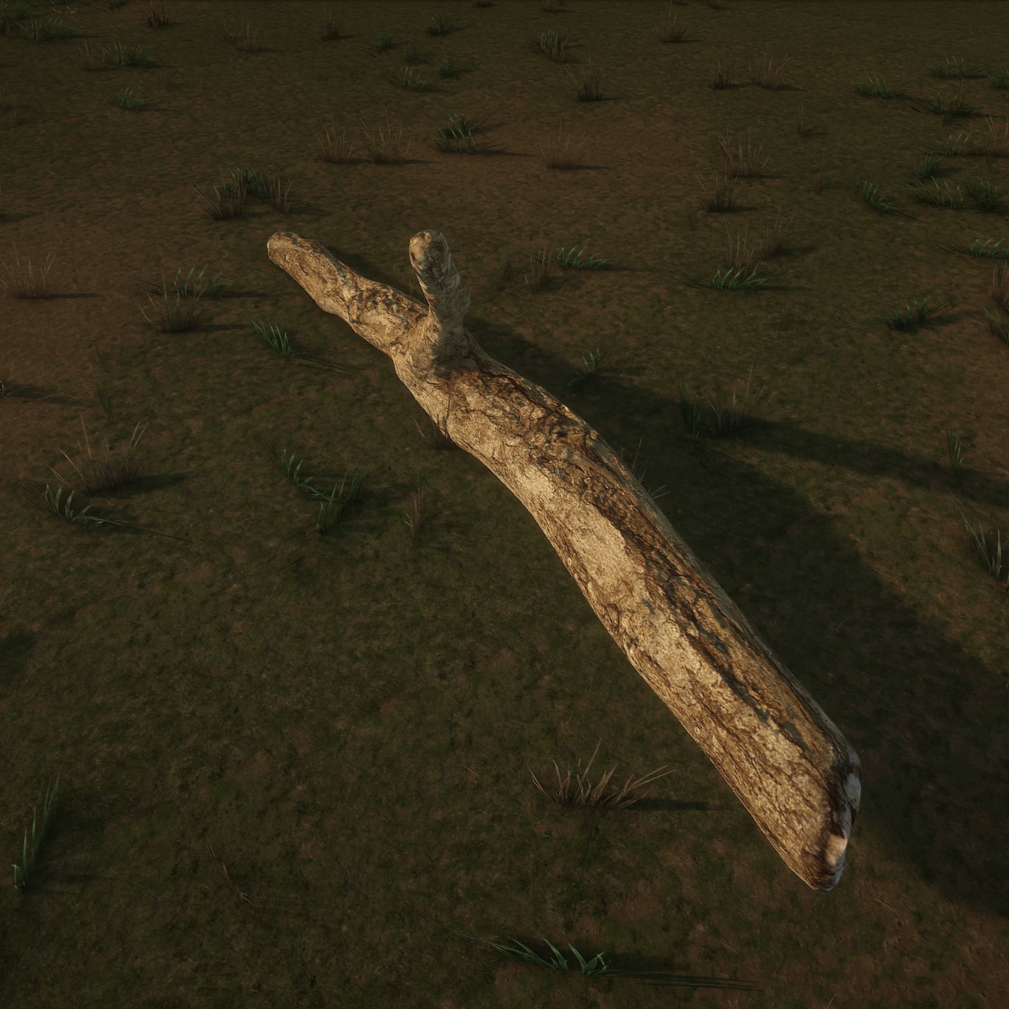 DeadTrunk6