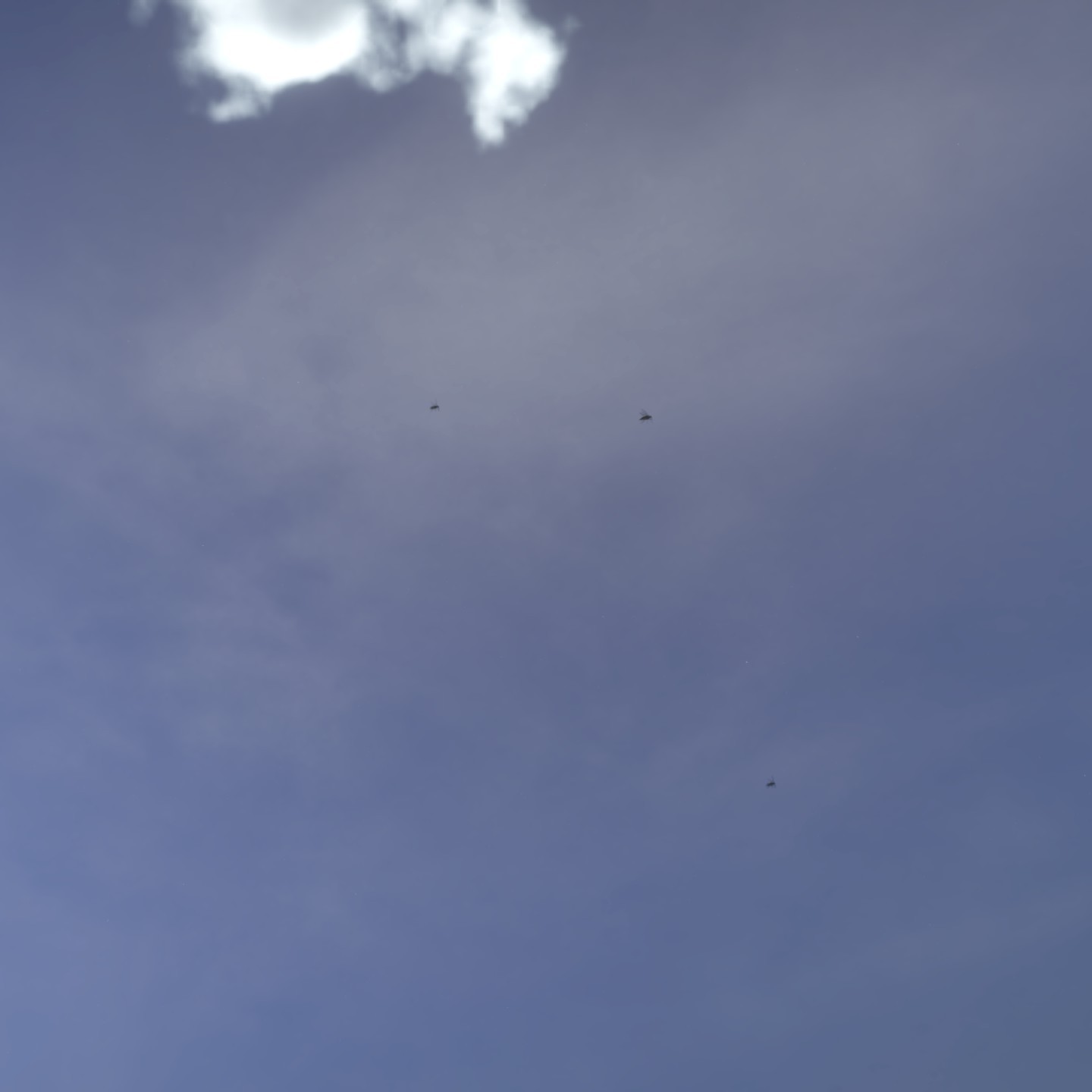 Flie_Particles