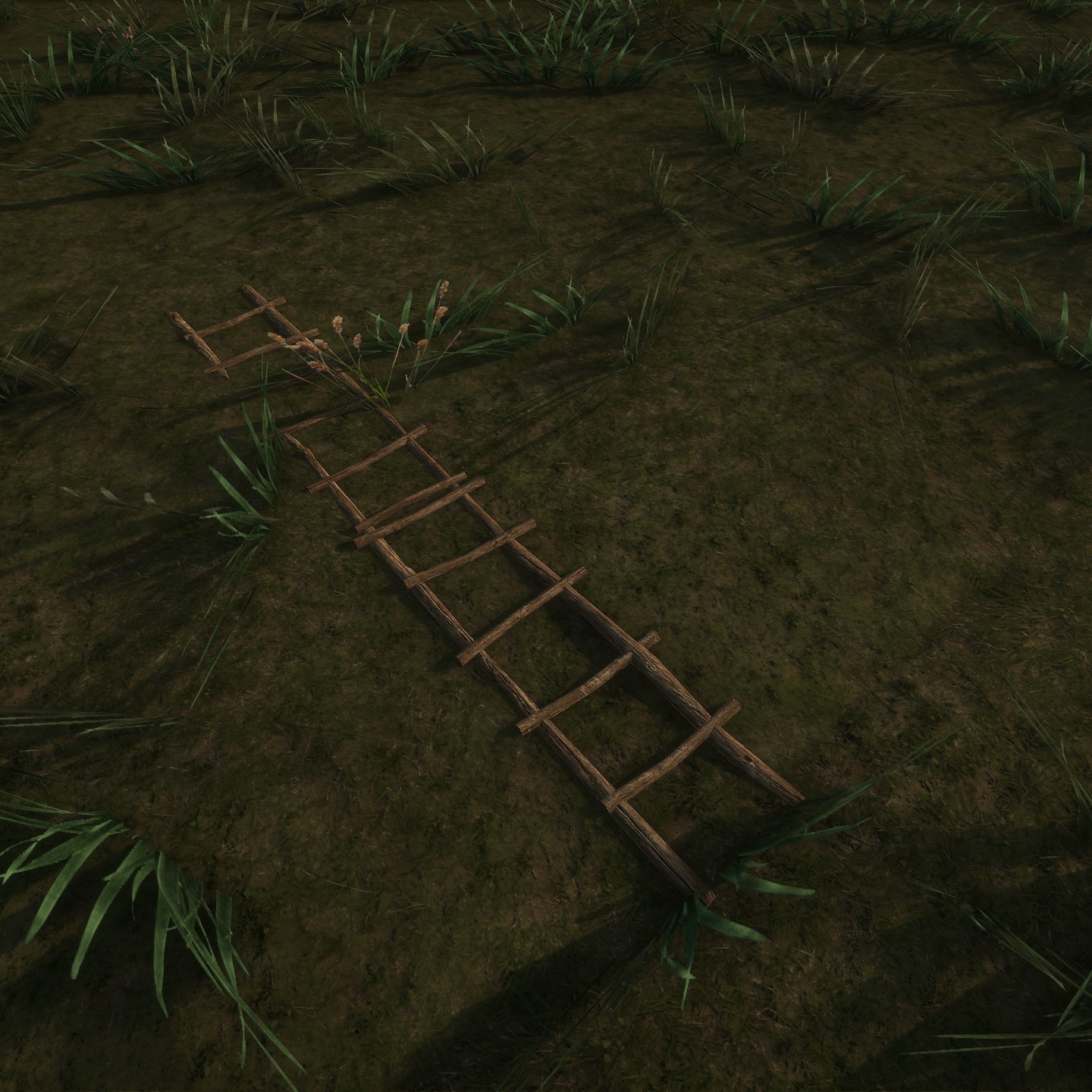 Ladder_Usable