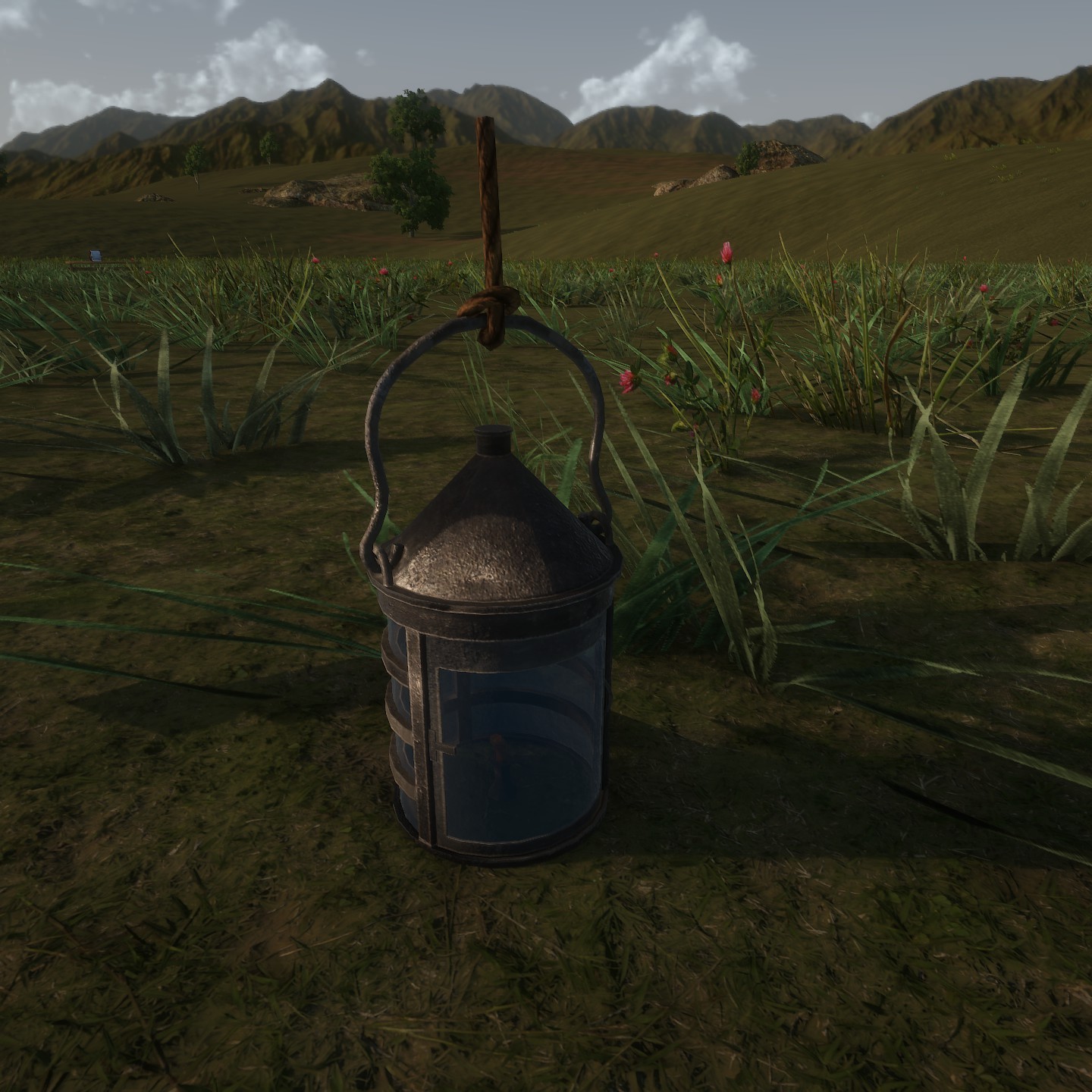 Lantern1