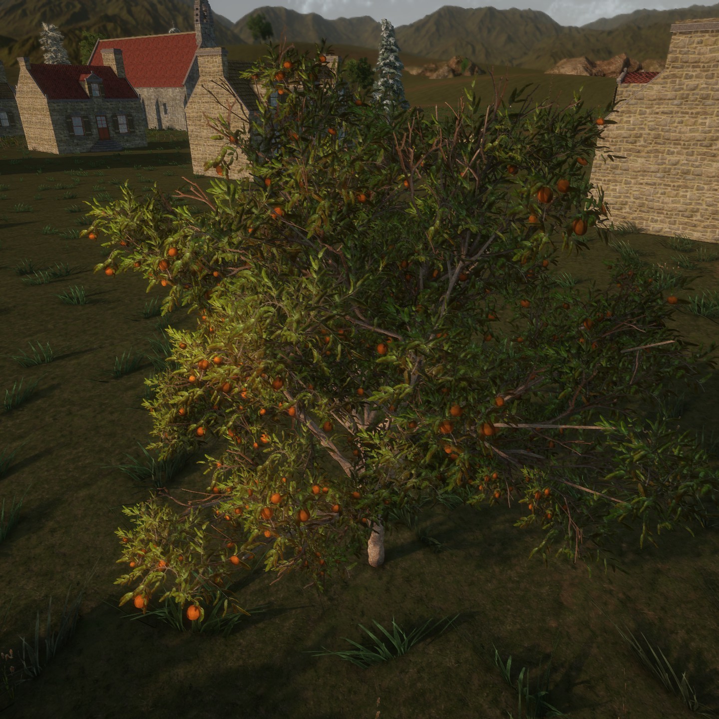 Peach_Small1