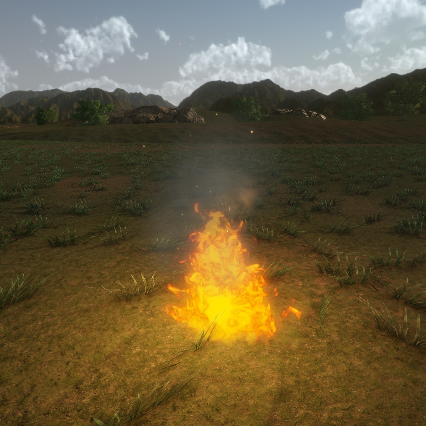 Slow_Fire_W_Smoke