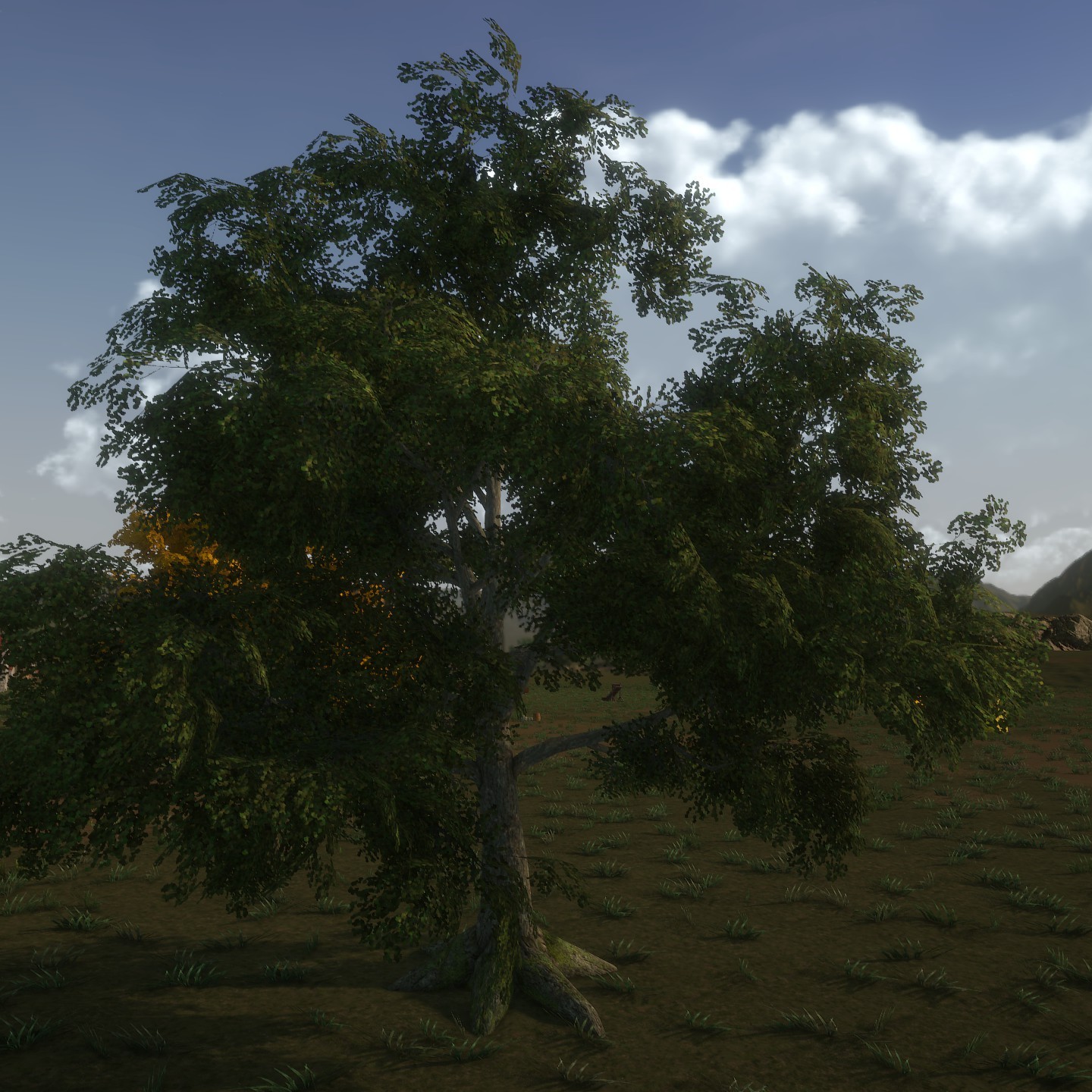 White_Oak_Desktop2