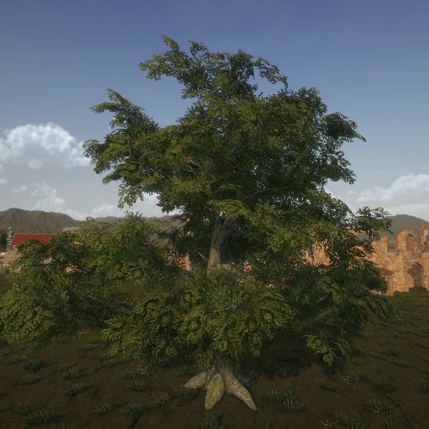 White_Oak_Desktop