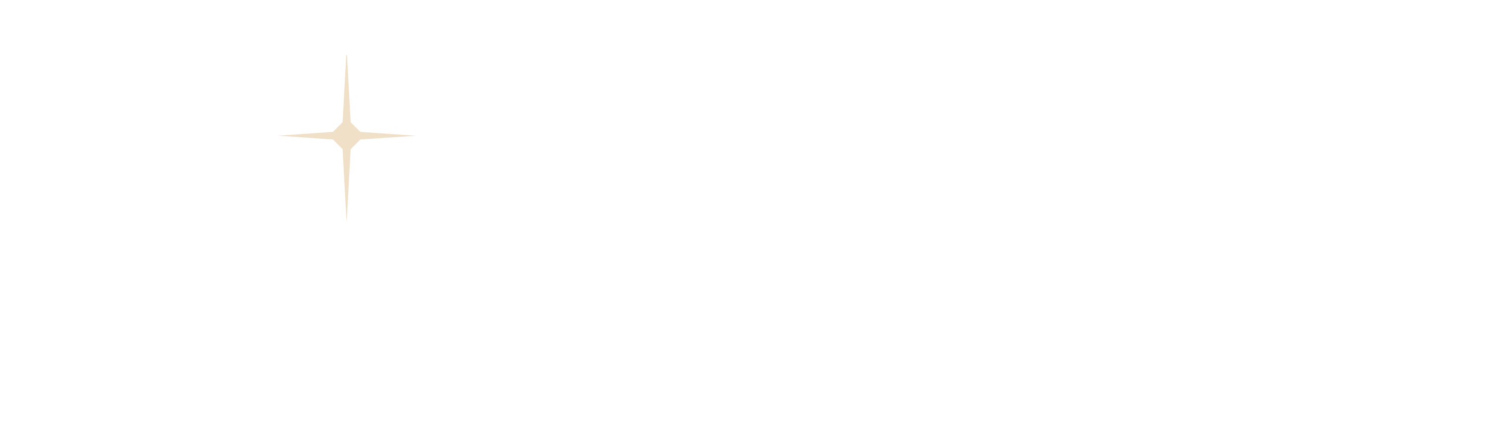 Holdfast Nations At War Wiki